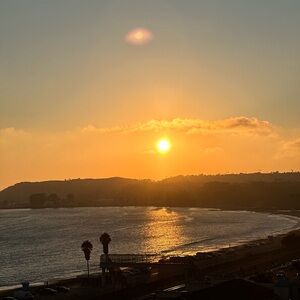 Meet your Posher, Laurice